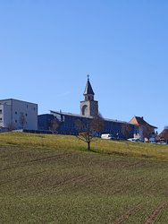 MVIMG_20250305_120623.jpg
