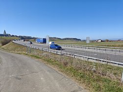 MVIMG_20250305_120035.jpg