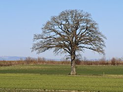 MVIMG_20250305_114652.jpg