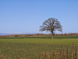 MVIMG_20250305_114649.jpg