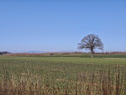 MVIMG_20250305_114646.jpg