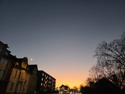 20250305_185145.jpg