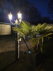 20250305_190233.jpg