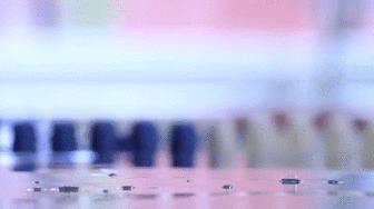 korkenzieher-wasserballett.gif