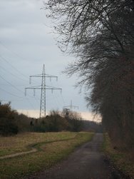 1741220855339.jpg