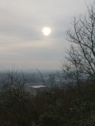 1741220855488.jpg