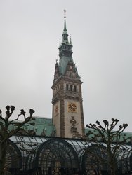 1741220855695.jpg