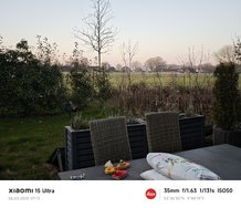 IMG_20250306_071242.jpg