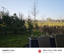 IMG_20250306_083551.jpg