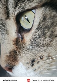 IMG_20250306_091222.jpg