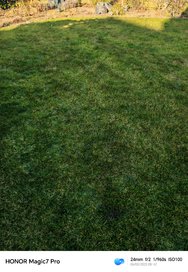 IMG_20250306_084213.jpg