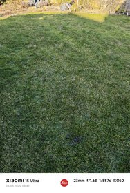 IMG_20250306_084213~2.jpg