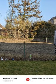 IMG_20250306_084235~2.jpg