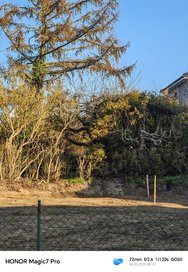 IMG_20250306_084242.jpg