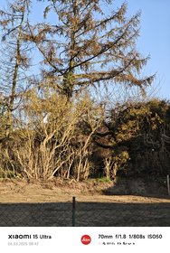 IMG_20250306_084242~2.jpg
