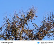 IMG_20250306_084307.jpg