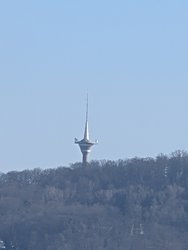 PXL_20250306_140712321.jpg