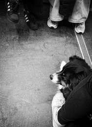 IMG_20250306_134656433_HDR (3).jpg