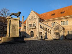 PXL_20250305_153107564.jpg