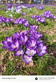 GCam06032025_132924492.jpg