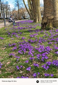 GCam06032025_133913698.jpg