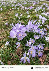 GCam06032025_134300623.jpg
