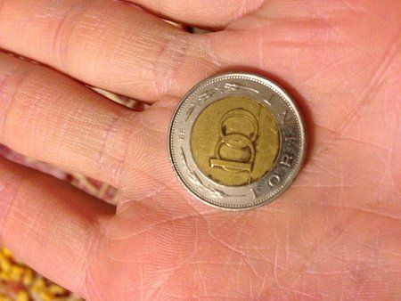 Foto.JPG