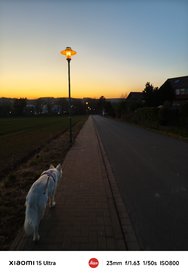 IMG_20250306_185111.jpg