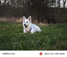 IMG_20250306_185625.jpg