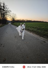 IMG_20250306_185655.jpg