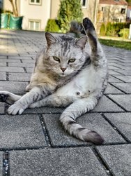 IMG_20250306_153037.jpg