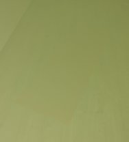 1000124656.jpg