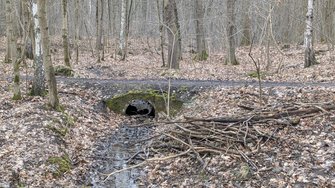 PXL_20250301_133033742.jpg