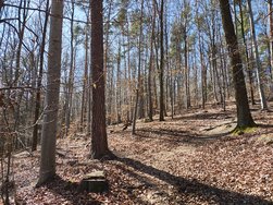 IMG_20250306_121237720_HDR.jpg