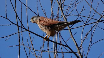 IMG_20250227_112017.jpg