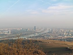 IMG_20250304_165837.jpg