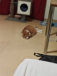 IMG_20250305_022929.jpg