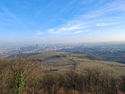 IMG_20250304_162057.jpg