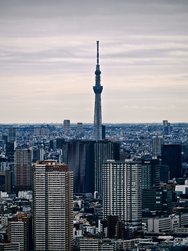 IMG_20250306_123138.jpg
