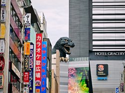 IMG_20250306_132523.jpg