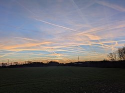 PXL_20250303_171006767.jpg