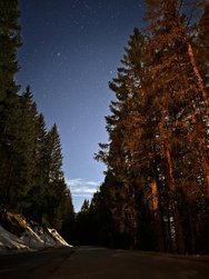 IMG_20250307_002626.jpg