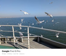sukashi_20250307_080255.jpg