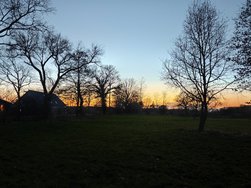 15U_IMG_20250306_183533.jpg