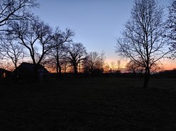 OP13_IMG20250306183547.jpg