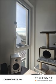 IMG_20250307_101115.jpg