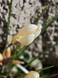 52517f91-3ff7-4e9b-9a60-b9c6d8fb3dc4-1_all_115210.jpg