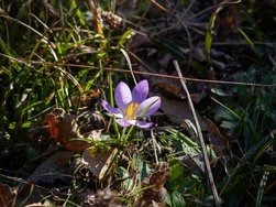 IMG_20250306_085447-2.jpg
