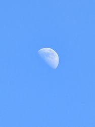 PXL_20250307_135727291.jpg