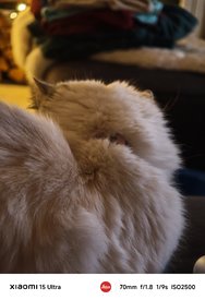 IMG_20250307_152234.jpg
